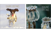 NC-XM504 - Dog in Snow/Frosted Poppy Heads Christmas Notecard Pack (6 Cards)